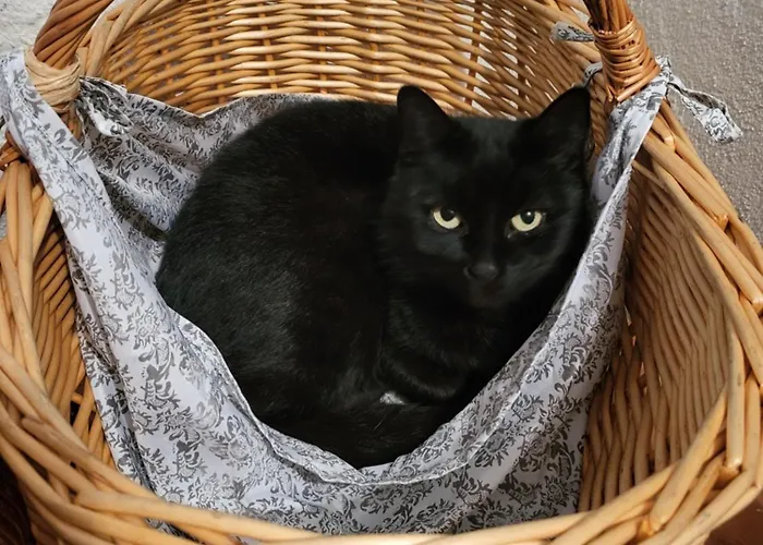 Am Wasserturm Mit Kleinem Bauernhof Baruth
